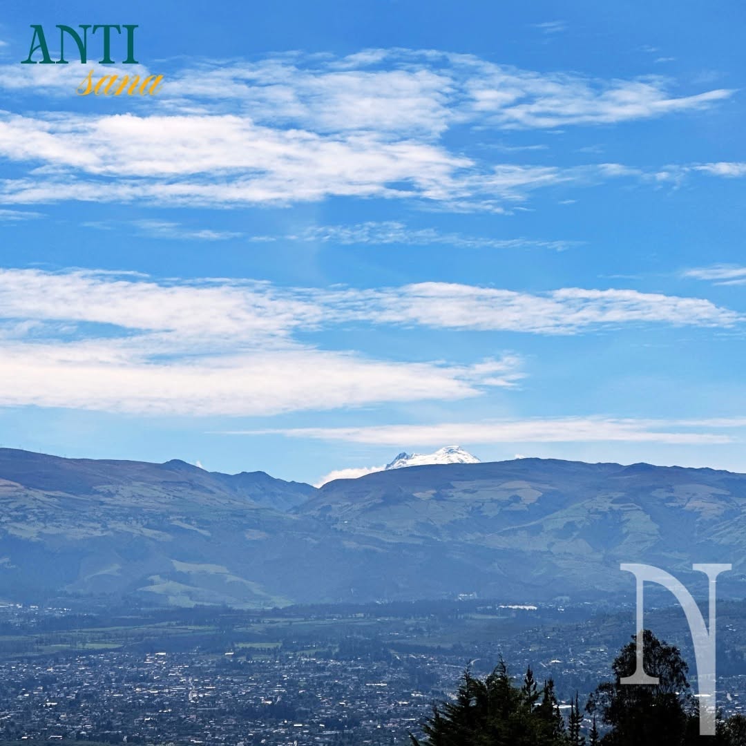 Vista Panorámica del Antisana